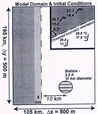 Figure 5.   Initialization of the COMMAS model to study boundary effects on cell development, intensification, and track