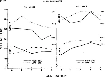 FIGURE 6.-The change in cerebrum length and width with selection for ChE. 