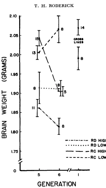 FIGURE 7.-Mean brain weights of each line with N and S,-. 