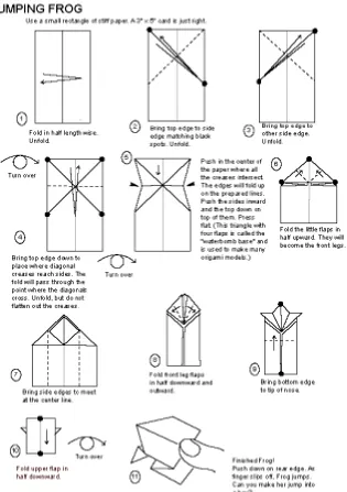 Figure 3.1: Jumping Frog Adapted from origamiUSA.com 