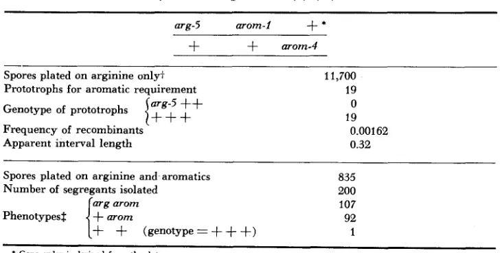 TABLE 6 