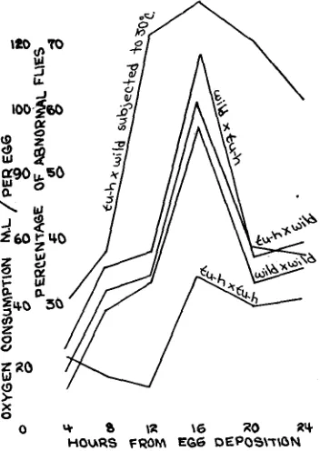 TABLE 6 Measurements of oxygen consumed by eggs and laruae given in of different stocks and crosses microliters per egg during four-hour intervals 