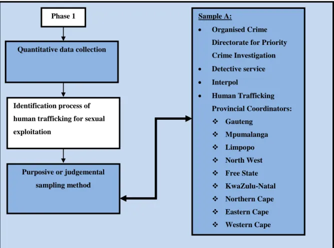 Figure 6: Purposive or judgement sampling of sample A 