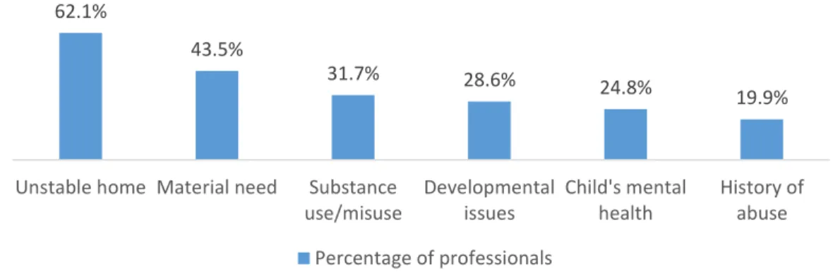 Figure 6. Percentage of Professionals Who Mentioned Vulnerability Factors of Youth (n = 161) 12