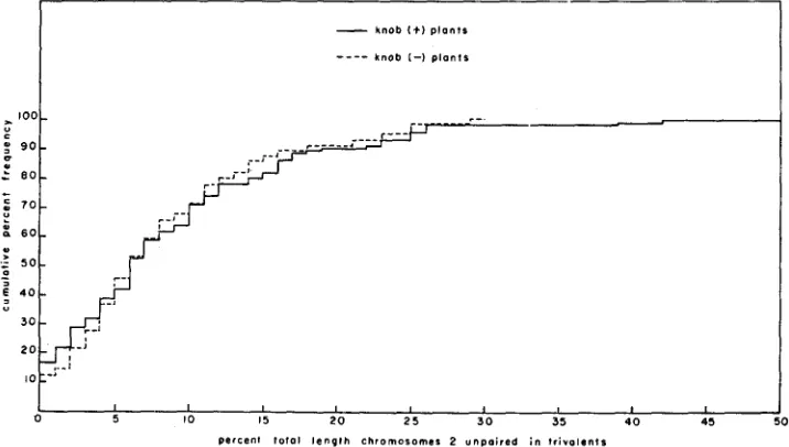 FIGURE 5.-Cumulative chromosome percent frequency polygons of the percent of the total length of 2 found to be unpaired in trivalent configurations from knob (+) and knob (-) plants