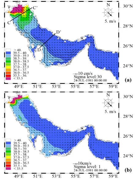 Figure 5. Mean flux (vertically averaged current) due to a northwesterly wind in the Gulf; the double gyre pattern is superimposed on the flux arrows
