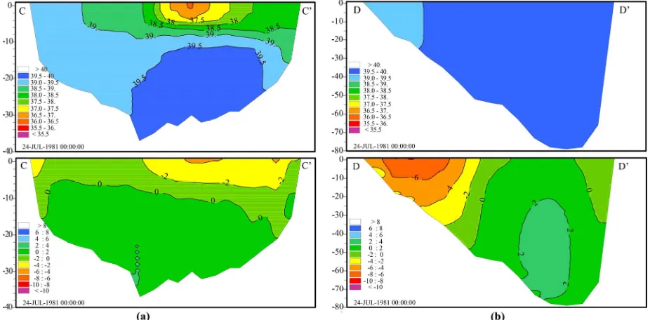 Figure 8(a) presents the salinity and velocity fields for the plume forced only at the outlet, without wind nor tidal forcing, after 18 months of simulation