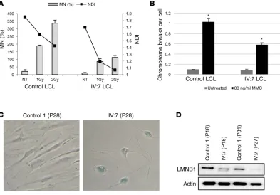 Figure 4. Functional consequences of the identified mutation in the patient’s cells. (28 (P28) were stained for A) CBMN assays in LCLs
