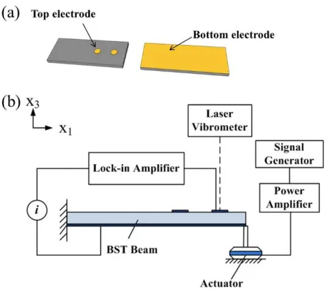 Figure 2.2 (a) Typical electrode configuration. (b) Experimental setup for the measurement of flexoelectric coefficients