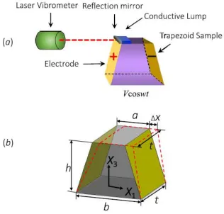 Figure 2.5 (a) Diagram of sample assembly for converse flexoelectric measurement of the shear strain along x1 direction generated by the electric filed gradient along x3 direction