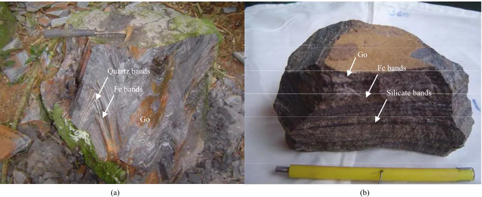 Figure 4. (a) Intensely folded oxide facies BIF with alternative silica and iron banding, stained by goethite (Go)