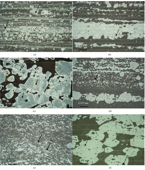 Figure 5. Air (a)-(f) and oil (c) immersion reflected-light photomicrographs of iron oxides of Njweng Itabirite