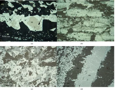 Figure 6. Oil (a) and air (b)-(d) immersion reflected-light photomicrographs of Njweng Itabirite