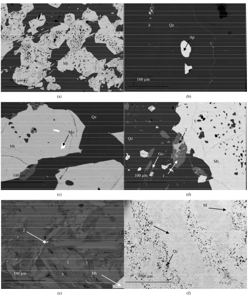 Figure 7. (a)-(f) Backscattered secondary electron image of BIF sample from Njweng. (a) Magnetite (Mt) grains with numer- ous quartz (Qz) inclusions; (b) Apatite (Ap) inclusion in silica band with statistical triple point of quartz grains; (c) Monazite ing