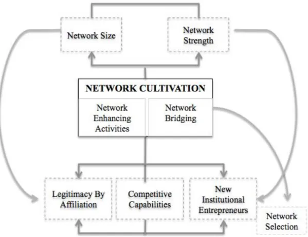 FIGURE 8: Network Cultivation Dynamic 