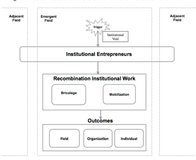 Figure 2: Radical Institutional Innovation: A Multi-level Process Framework 