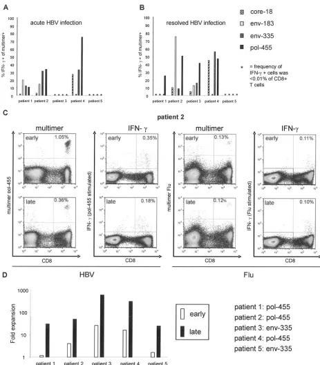 FIG. 4. Functional capacities of HBV-speciﬁc CD8�and are not shown. (D) The proliferative capacity of HBV-speciﬁc CD8infection (B)