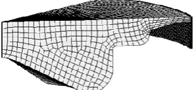 Figure 1a.  The simulated combustion chamber at TDC 
