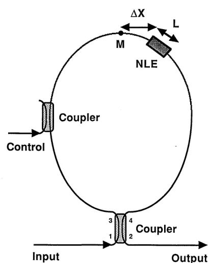 Fig. 2. Optical loop mirror withoptical control is introduced intocoupler.a finite-length NLE