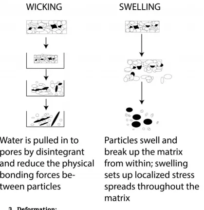 Fig.2. Wicking & Swelling 