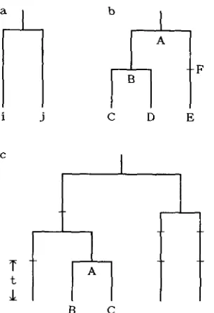 FIGURE 1 from a population.  (c) One example of the genealogical  relationship DNA sequences are sampled  from a population