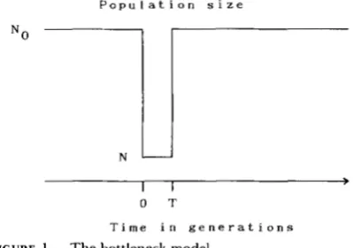 FIGURE 1 .-The 