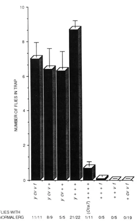 FIGURE $?.-Mapping assays notypes. Ethyl acetate was the olfactory of Ota7 olfactory and visual system phe- stimulus