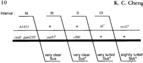 FIGURE 5,"Crosses lated exchange to determine  the  distribution of  Chi-stimu- to the left  of cI60