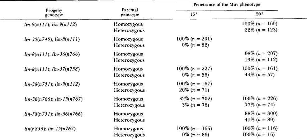 TABLE 5 