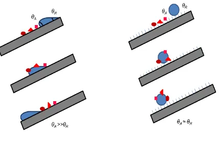 Figure 6. Self-cleaning effect by superhydrophobicity 