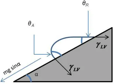Figure 7. Liquid droplet roll-off on a tilted surface. 