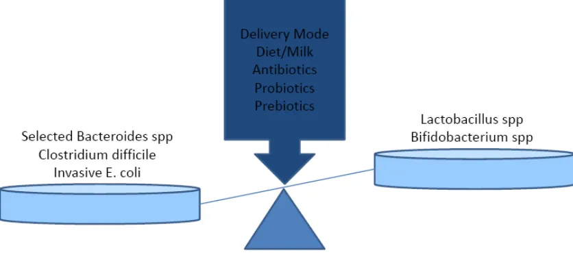 Figure 2.  Environmental factors affect the intestinal microbiota balance of the neonate