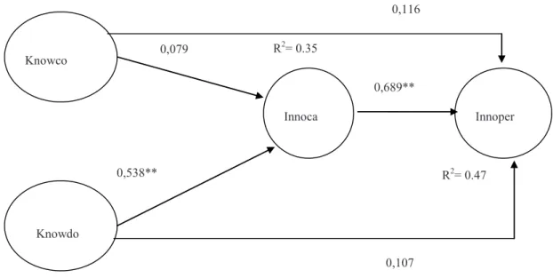 Figure 1: The Structural Model with Path Coefficients 