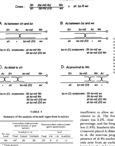 TABLE 3 insufficient to allow an accurate placement of  trAc relative to sh. The frequency of the  nonparental 