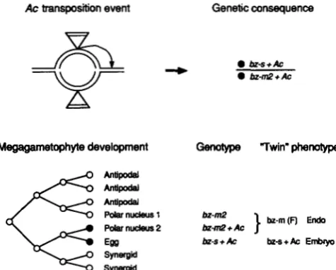 FIGURE 6.-Distribution trAcs among bz-m(F) selections of linked from 