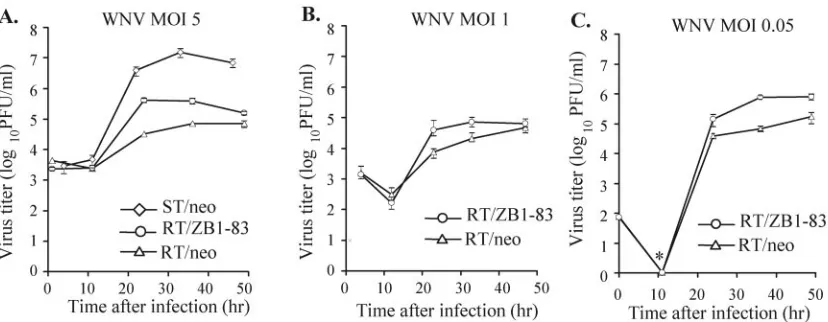 FIG. 7. Effect of suppressing endogenous RNase L activity on the growth of WNV in MEFs