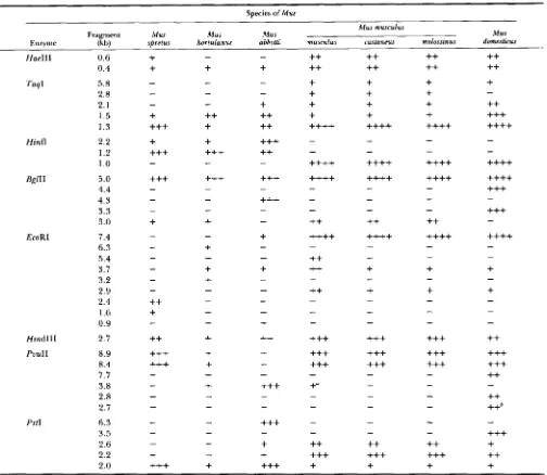 TABLE 2 