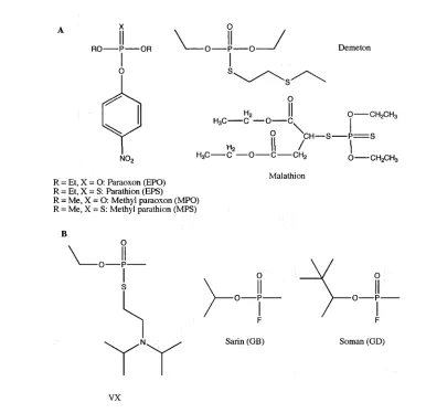 Figure 1.3: Examples of phosphotriesters.