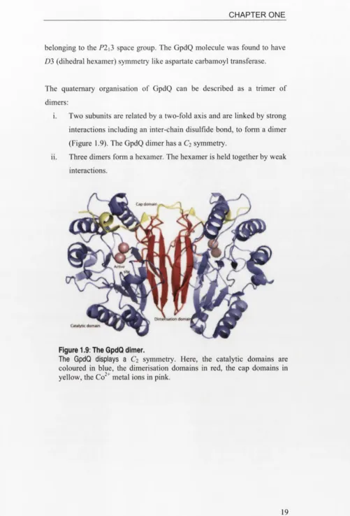 Figure 1.9: The GpdQ dimer.