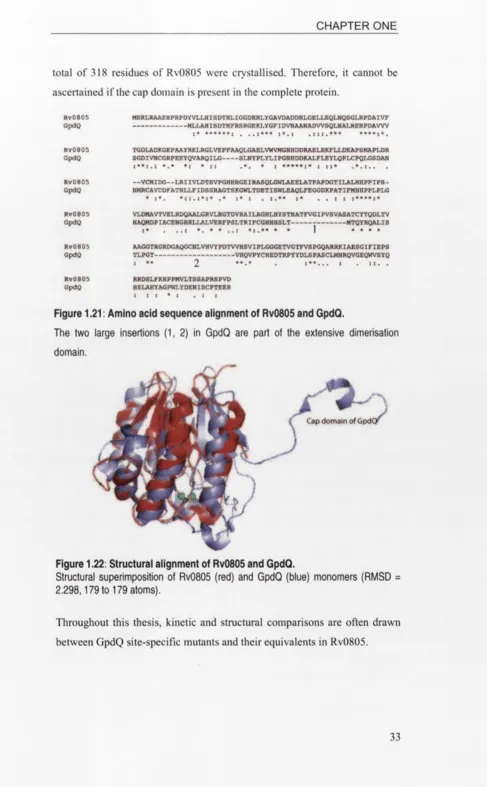 Figure 1.21: Amino acid sequence alignment of Rv0805 and GpdQ.