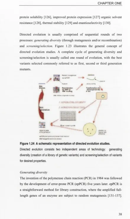 Figure 1.24: A schematic representation of directed evolution studies.