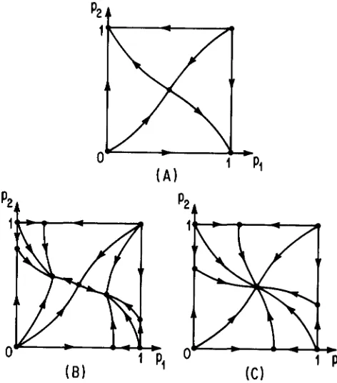 FIGURE 8.-The FARB’S three possible convergence patterns  for GIMEL- (1986) pleiotropic model