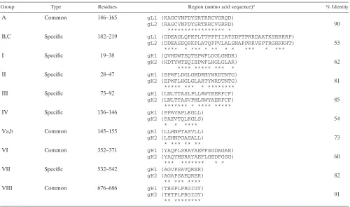 FIG. 11. Diagram of HSV gL MAbs published to date (9, 30, 32). MAbs written in italics inhibit cell-cell spread