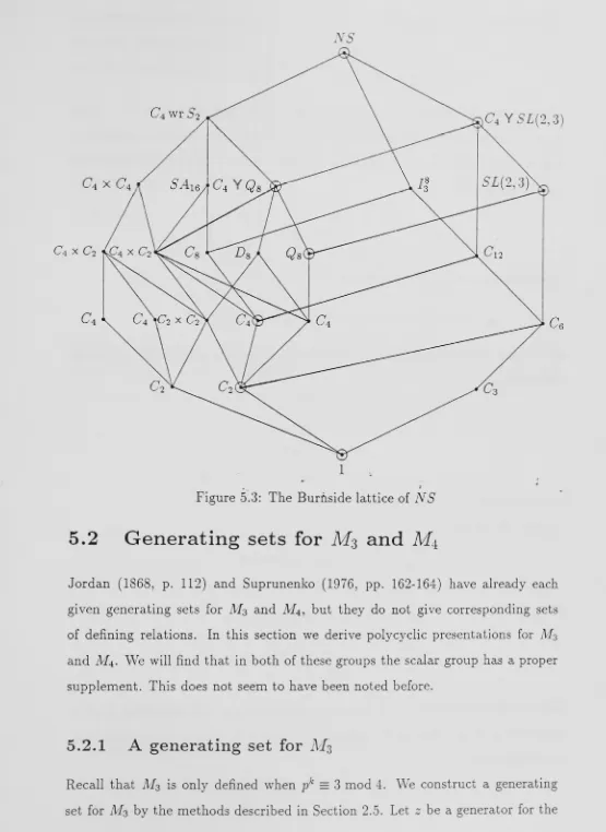 Figure 5.3: The Burfiside lattice of NS 