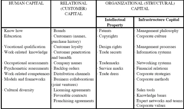 Figure 3.3. A taxonomy of the elements of Intellectual Capital in four classes.  