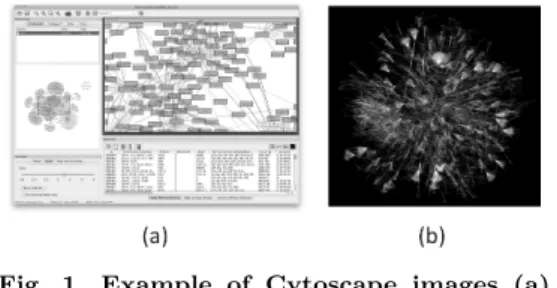 Fig. 1 Example of Cytoscape images (a) main window (b) large graph  visual-ization by Cytoscape