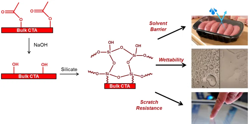 Figure 1.5 : Schematic of surface functionalization of cellulose triacetate (CTA) to improve solvent barrier properties, scratch resistance, and tune wettability
