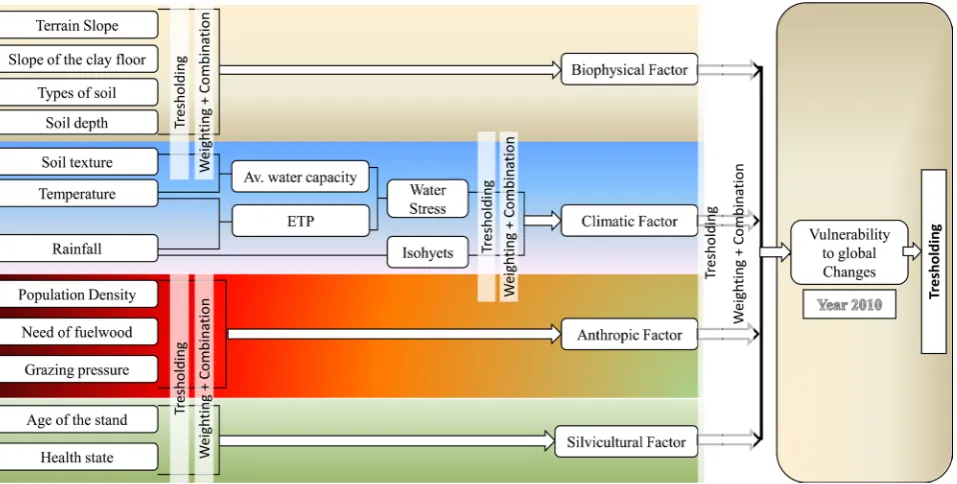 Figure 3. Methodology for assessing vulnerability (adapted from [15]).  