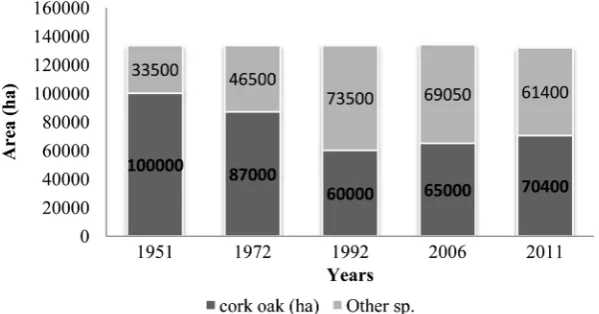 Figure 6. Area of cork oak in Maamora from 1951 to 2011 [22]. 