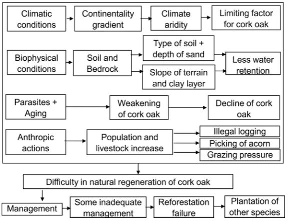 Figure 7. Changes for 1987-2000 and 2000-2014. Codes Qs: cork oak, Eu: Eucalyptus, classes respectively